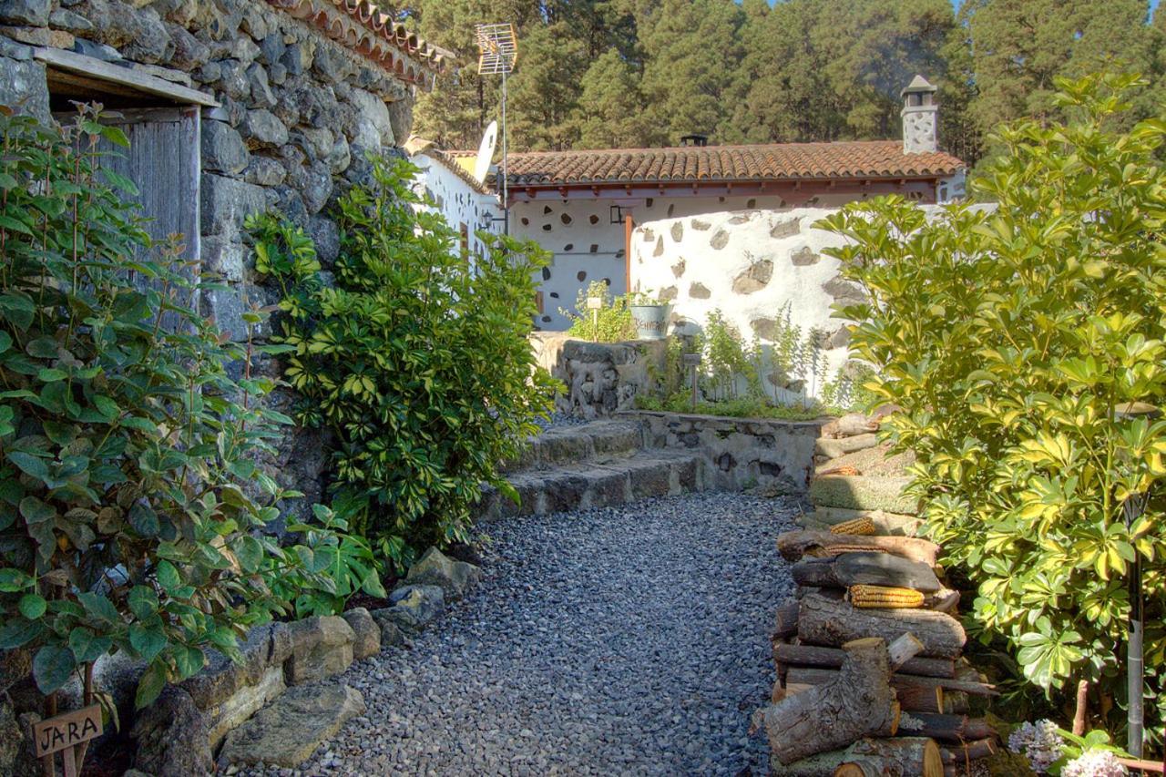 Holidaynorthtenerife Casa Rural Montiel Icod De Los Vinos Zewnętrze zdjęcie